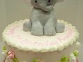 Baby-Girl-Elephant-1