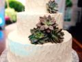 Succulent-Wedding-Cake-1