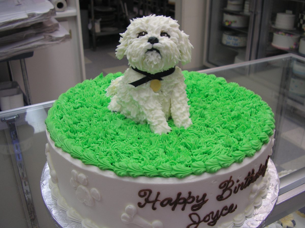 Maltese puppy cake, 3D puppy cake